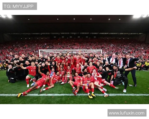 范戴克近五场比赛技术统计分析及个人表现综述